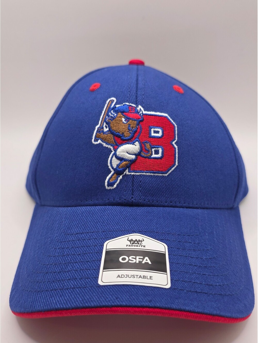 Buffalo Bison baseball snapback hat - BNWS